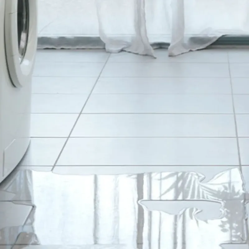 Appliance Leak Cleanup in Holton, KS