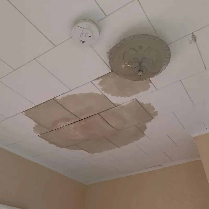 Ceiling Water Damage Repair in Holton, KS