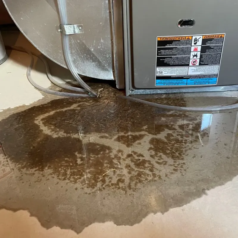 Pipe Burst and Leak Restoration in Holton, KS