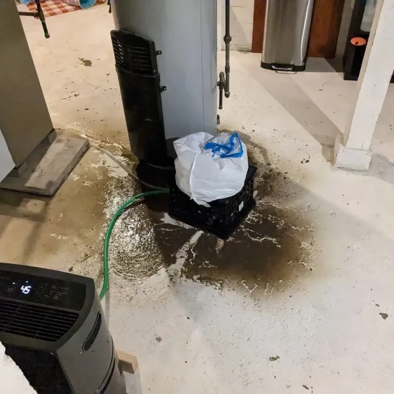 Sewage Backup Cleanup Service in Holton, KS